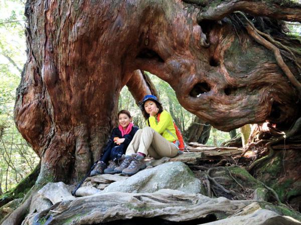 Minshuku Satomachi Guest House Yakushima  Ngoại thất bức ảnh